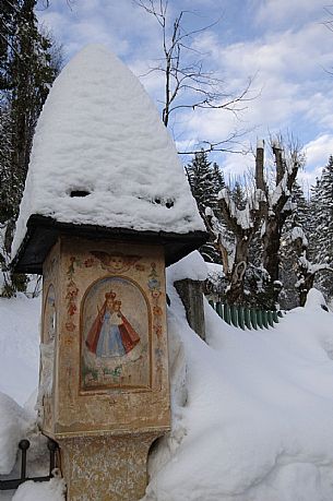 Snowy landscape 